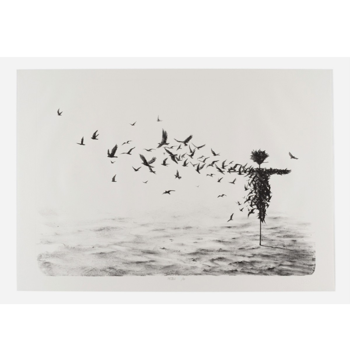 Pejac — Scattercrow, 2017