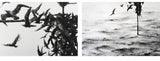 Pejac — Scattercrow, 2017